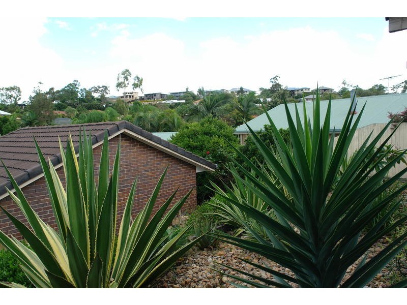 37 Gibson Cr, Bellbowrie QLD 4070